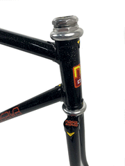 NAGASAWA NJS frame in Black Rainbow Flake with an extra front fork