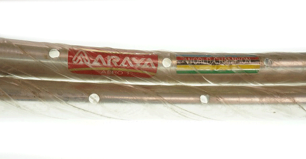 arayaDSC00371-ok_grande.gif?v=