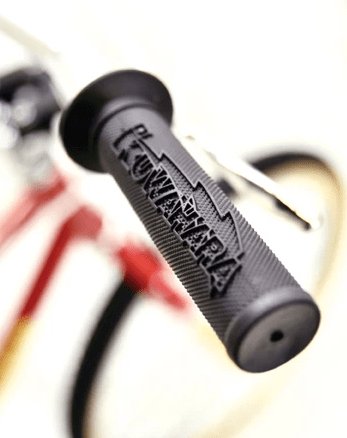 kuwahara-survivor-20-1st-lot-